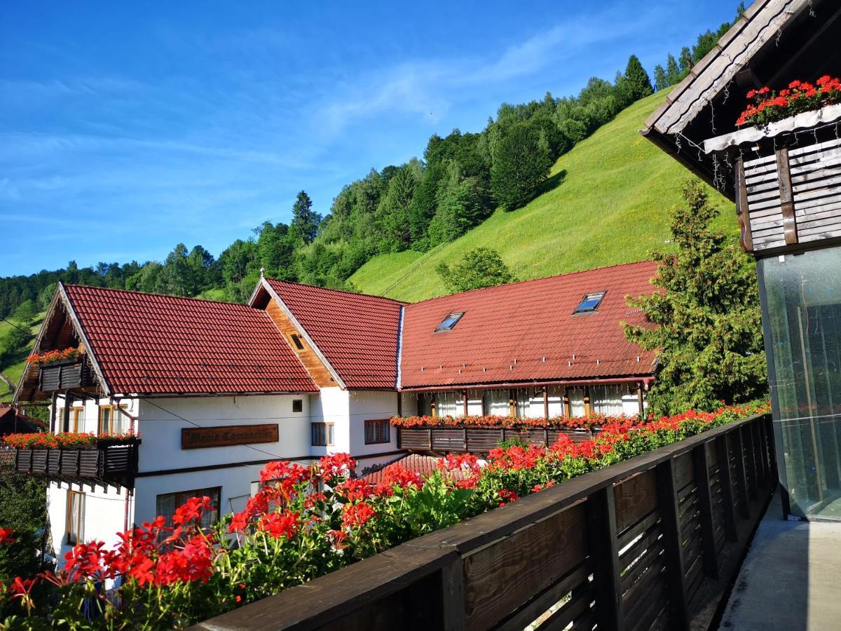 Pension Mama Cozonacilor Бран Экстерьер фото